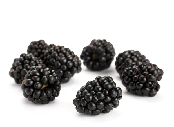 Blackberry group — Stock Photo, Image