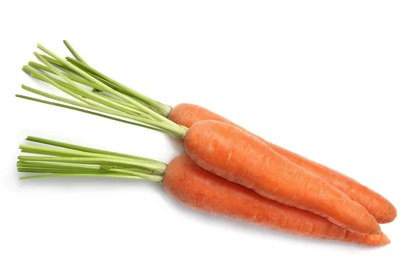 Carrot — Stock Photo, Image