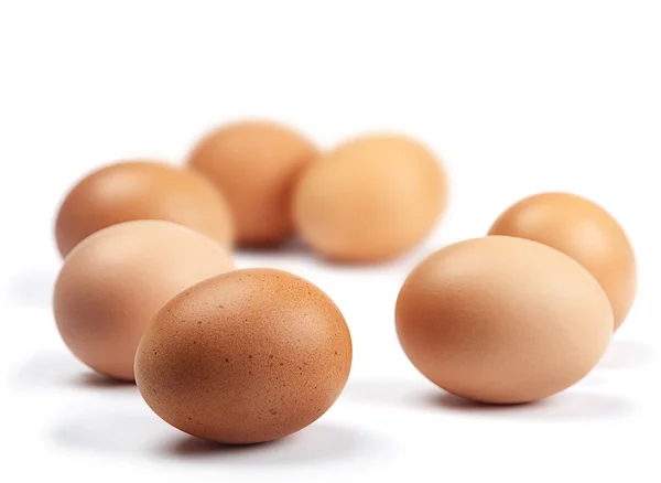 Chicken brown egg — Stock Photo, Image