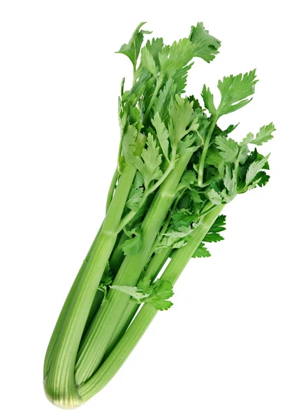Sayuran seledri — Stok Foto