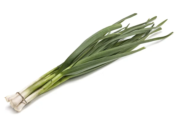 Garlic herb — Stock Photo, Image