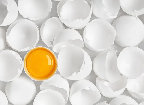Белое яйцо с одним желтком — стоковое фото