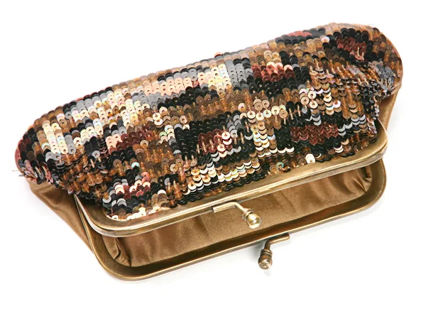 Shiny purse — Stock Photo, Image