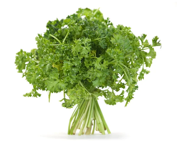 Parsley herb — Stock Photo, Image