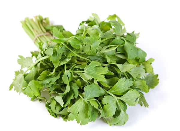 Celery fresh herb — Stock Photo, Image