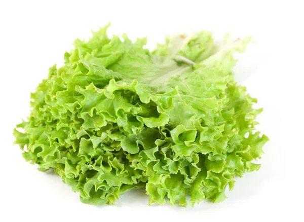 Пучок листя салату — стокове фото