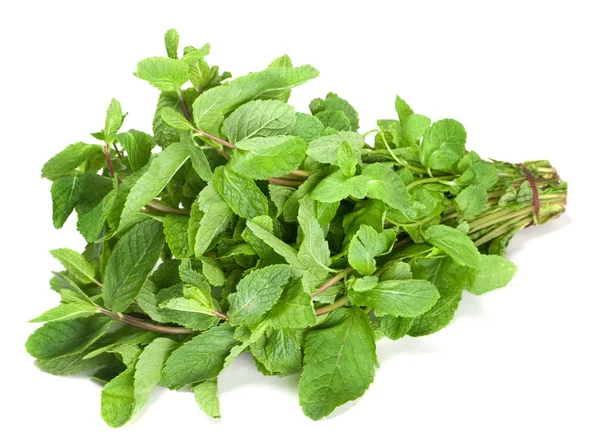 Ramuan Spearmint — Stok Foto