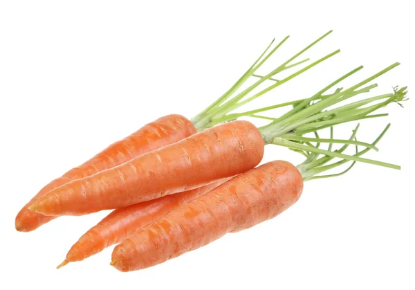 Young carrot — Stock Photo, Image