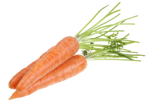 Young carrot — Stock Photo, Image