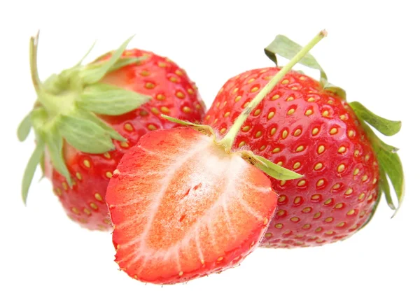 화이트에 딸기 베리 — 스톡 사진