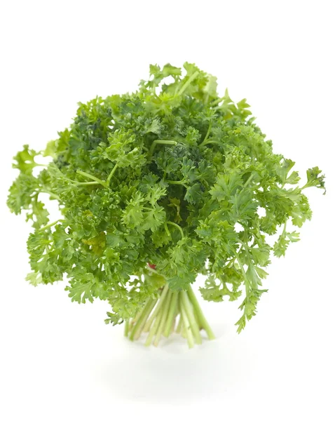 Parsley herb — Stock Photo, Image