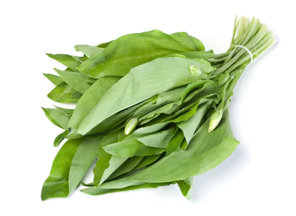 Wild leek vegetable — Stock Photo, Image