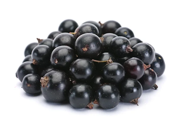 Black currant berry — Stock Photo, Image