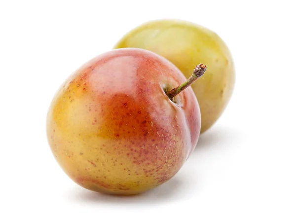 Fruits à prunes jaunes — Photo