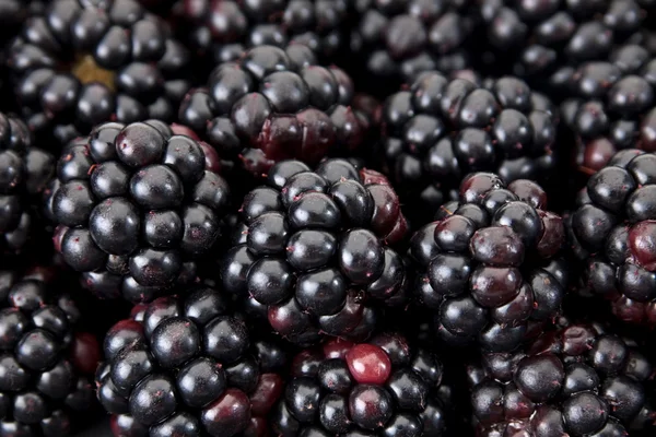 Blackberry berry — Stock Photo, Image