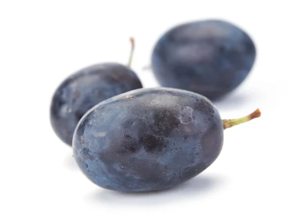 Frutas de uva — Fotografia de Stock