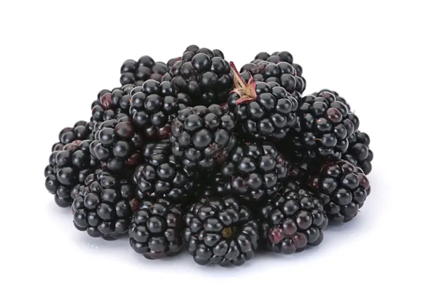 BlackBerry berry — Stok fotoğraf