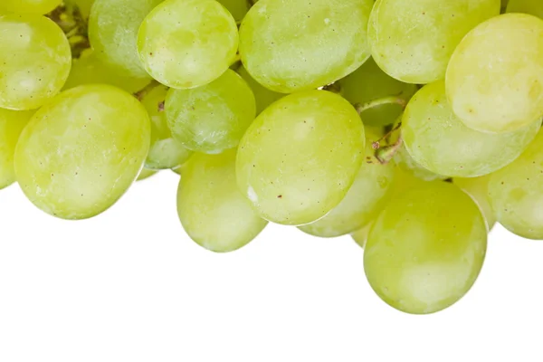 Frutta d'uva — Foto Stock