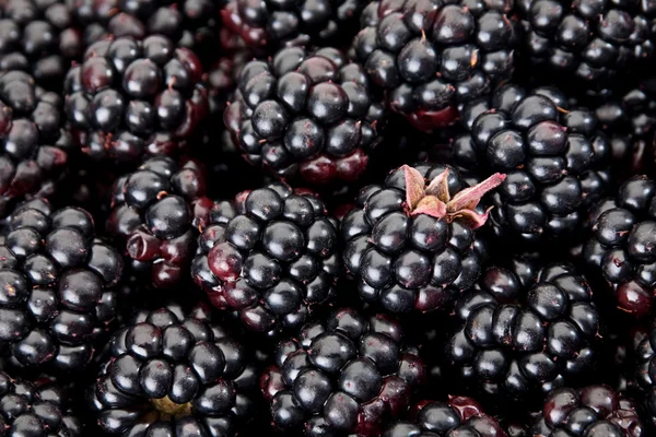 BlackBerry berry — Zdjęcie stockowe