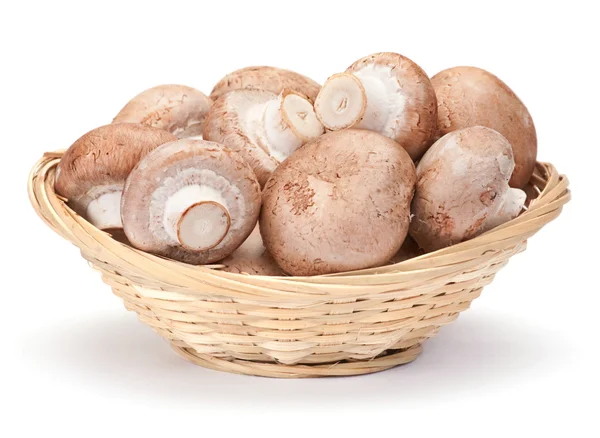 Brown mushroom — Stock Photo, Image