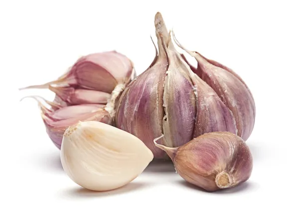 Garlic vegetable — Stock Photo, Image