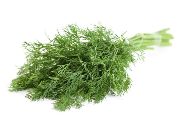 Dill herb Stock Image