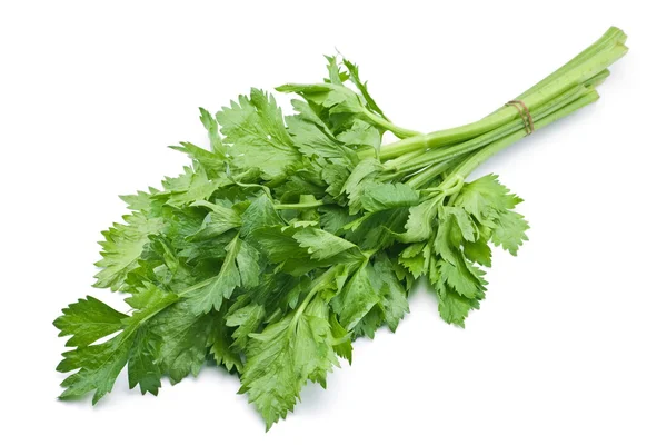 Fresh celery herb — Stock Photo, Image