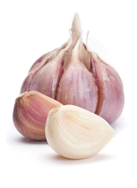 Garlic vegetable — Stock Photo, Image