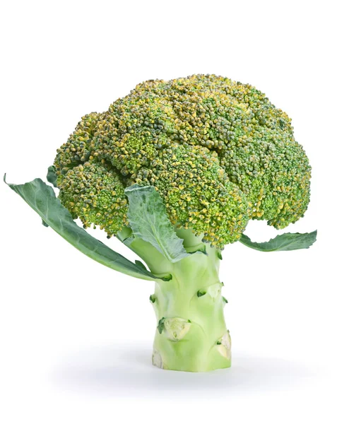 Broccoli cabbage — Stock Photo, Image