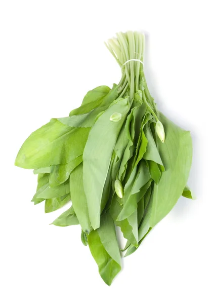 Wild leek vegetable — Stock Photo, Image