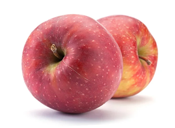 Frutto di mela maturo — Foto Stock