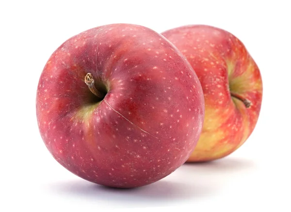 Ripe apple fruit — Stock Photo, Image