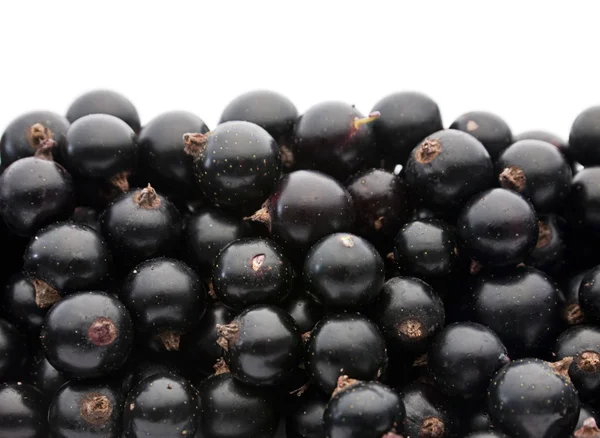 黑加仑浆果 — 图库照片