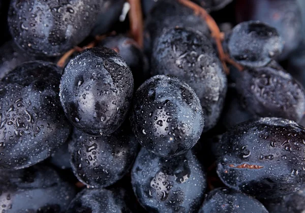 Fruta de uva — Foto de Stock