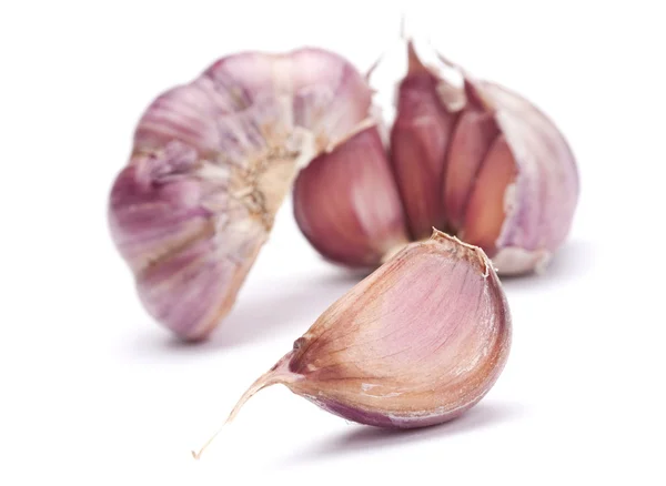 Garlic vegetable — Stock Photo, Image