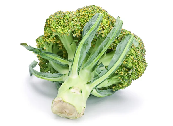 Broccoli cabbage — Stock Photo, Image