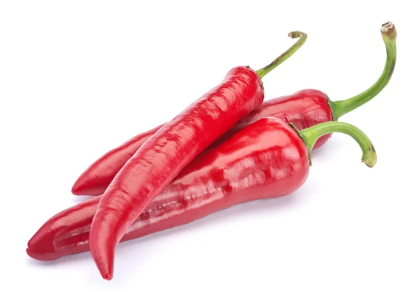 Röd chilipeppar — Stockfoto