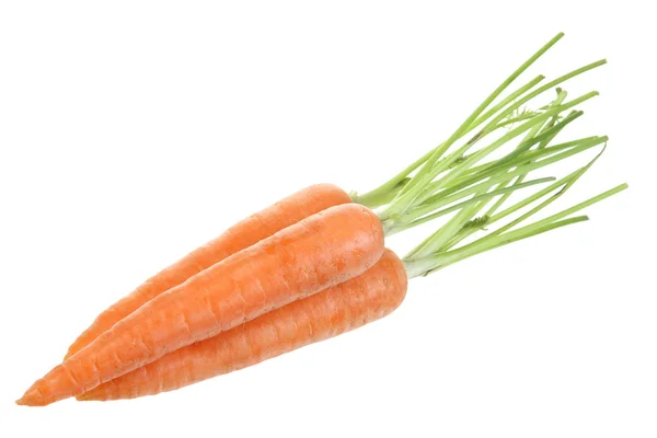 Молодая морковка — стоковое фото
