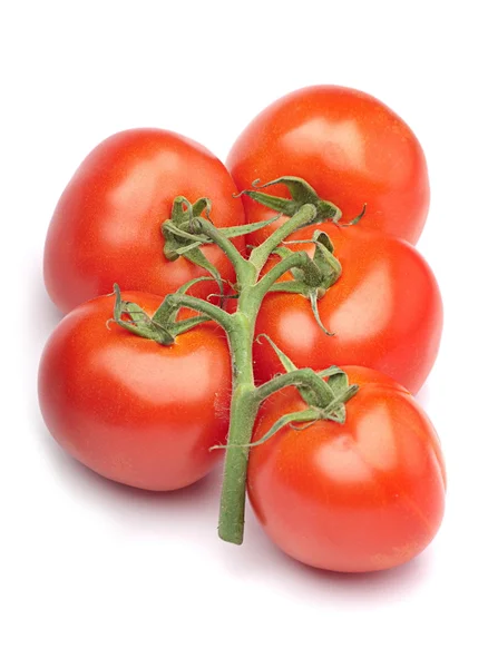 Red tomato — Stock Photo, Image