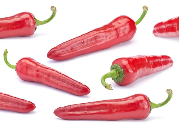 Röd chilipeppar — Stockfoto