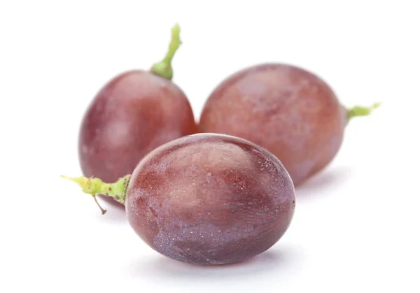 Uva morada fresca — Foto de Stock