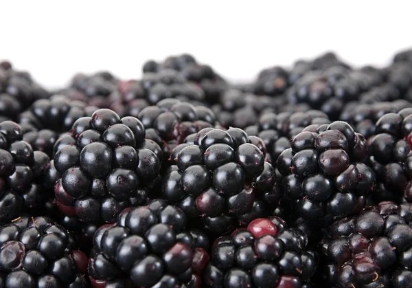 Blackberry berry — Stok Foto