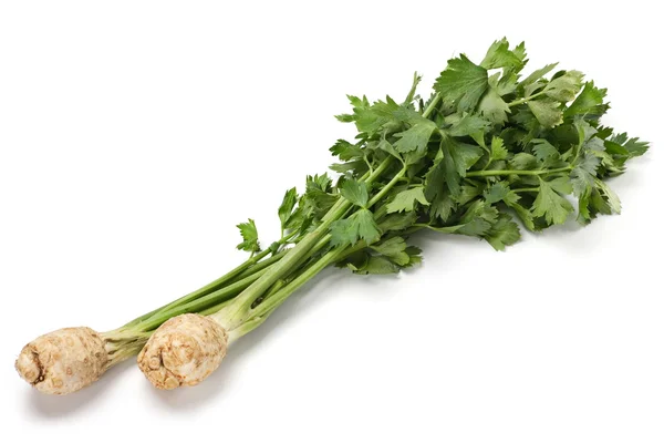 セロリ野菜 — ストック写真