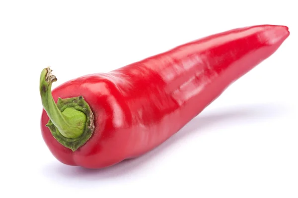 Röd chilipeppar — Stockfoto