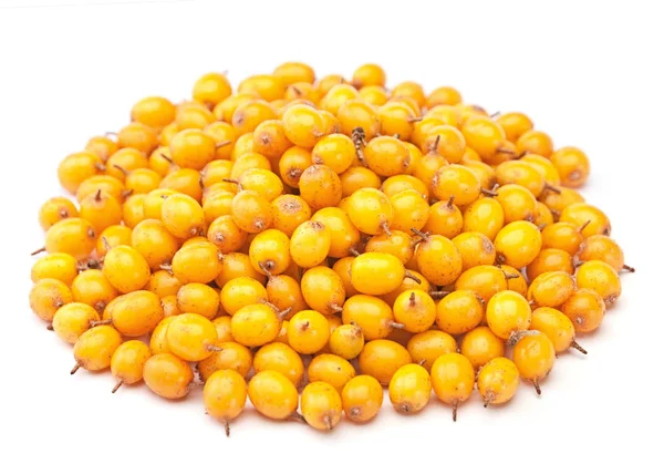 Buckthorn baga amarela — Fotografia de Stock