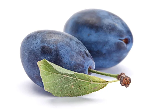 Prune albastre cu frunze — Fotografie, imagine de stoc
