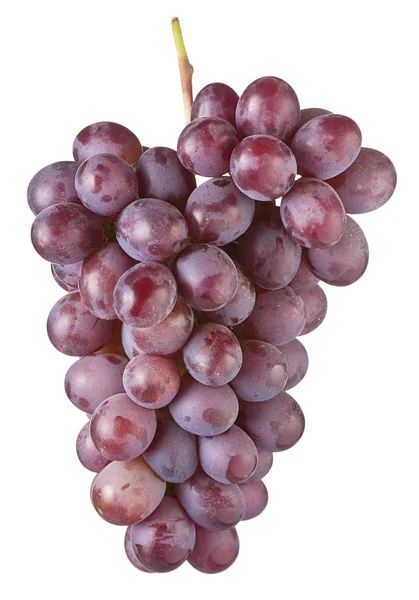 붉은 포도 과일 — 스톡 사진
