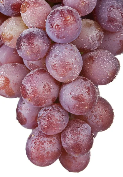 Grape fruit — Stockfoto