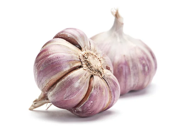 Garlic vegetable — Stock Photo, Image