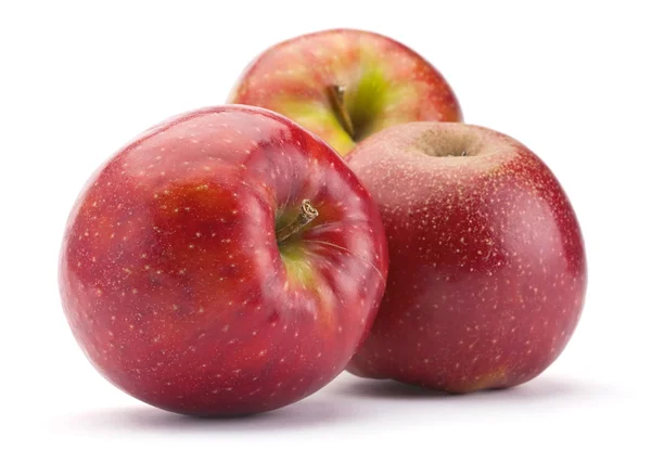 Ripe apple fruit — Stock Photo, Image